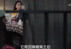 小喜乐姑姑维姐爆料视频,揭秘背后惊人真相