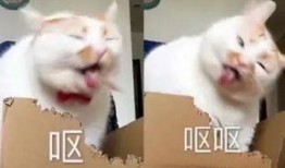 狗子黑料爆料视频大全,视频大全深度剖析