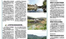 通城新闻爆料电话,揭秘本地热点事件