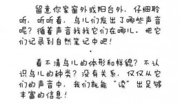 我在吃瓜看戏小说免费阅读,揭秘小说世界中的精彩幕后