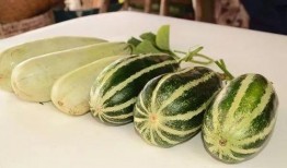 微信免费吃网红的瓜最新,揭秘微信免费吃瓜背后的秘密