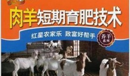育肥羊爆料视频播放下载,育肥羊视频播放下载背后的惊人真相