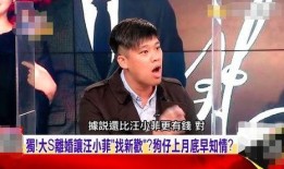 汪小菲爆料人是谁啊视频,揭秘神秘人物身份