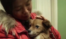 狗子黑料爆料视频大全,视频大全深度剖析