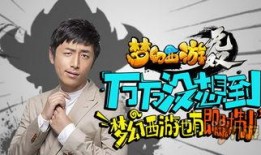 王大锤周六爆料视频大全,揭秘娱乐圈幕后真相