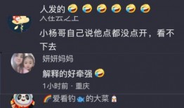 粉丝爆料小杨大杨视频,小杨大杨视频背后的故事
