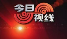 今日视线新闻爆料,揭秘重大新闻事件背后真相