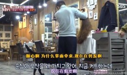 神奇理发店 在线观看,揭秘神秘魔力，在线观看奇幻之旅