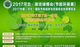 文安女士爆料最新情况,事件进展及幕后真相揭露