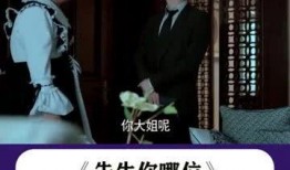先生你哪位在线观看,在线观看“先生，您哪位”的深度解读
