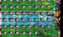 bt版最新植物爆料,bt版植物爆料，揭秘神秘植物家族