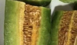 过气网红吃瓜,那些被遗忘的瞬间