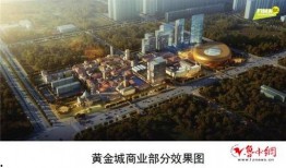 淄博黄金城爆料视频大全,揭秘黄金城背后的故事与真相