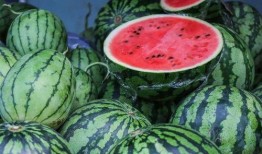 吃瓜网红事件江苏,揭秘网络舆论的风云变幻