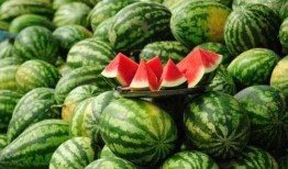 吃瓜网红事件江苏,揭秘网络舆论的风云变幻