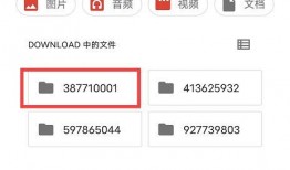 爆料开锁视频下载软件,揭秘热门开锁视频下载软件的奥秘