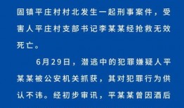 关于村支书的爆料新闻,爆料新闻背后的权力与真相
