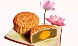 中秋月饼爆料视频下载免费,免费下载爆料视频背后的甜蜜秘密