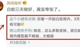 升仕员工爆料事件视频,揭秘企业内部惊人内幕