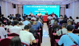 新闻爆料云南最新消息,多地突发自然灾害，救援行动全面展开