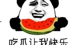 娱乐吃瓜酱说鄂尔多斯,娱乐吃瓜酱揭秘的神秘面纱