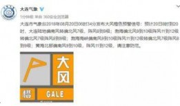 大连最新爆料,揭秘城市新动向与热点事件