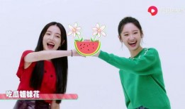 吃瓜姐妹全集免费,揭秘娱乐圈背后的秘密与真相