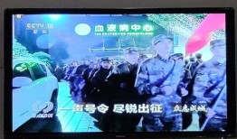 cctv13在线观看,实时新闻资讯，尽享权威报道