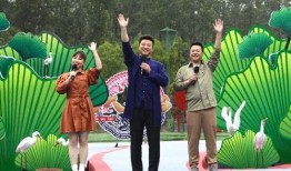 比亚迪吴颖爆料视频最新,揭秘新能源汽车行业新动态