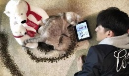 娱乐圈吃瓜爆料博主猫,猫博主带你探秘明星幕后生活