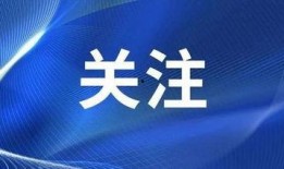 中山跳楼新闻爆料,悲剧背后的真相与反思