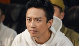 娱乐大爆料王子奇2025,娱乐大爆料，揭秘明星幕后故事