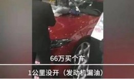抖音大瓜爆料女车主视频,女车主视频引发热议，揭秘惊人真相！